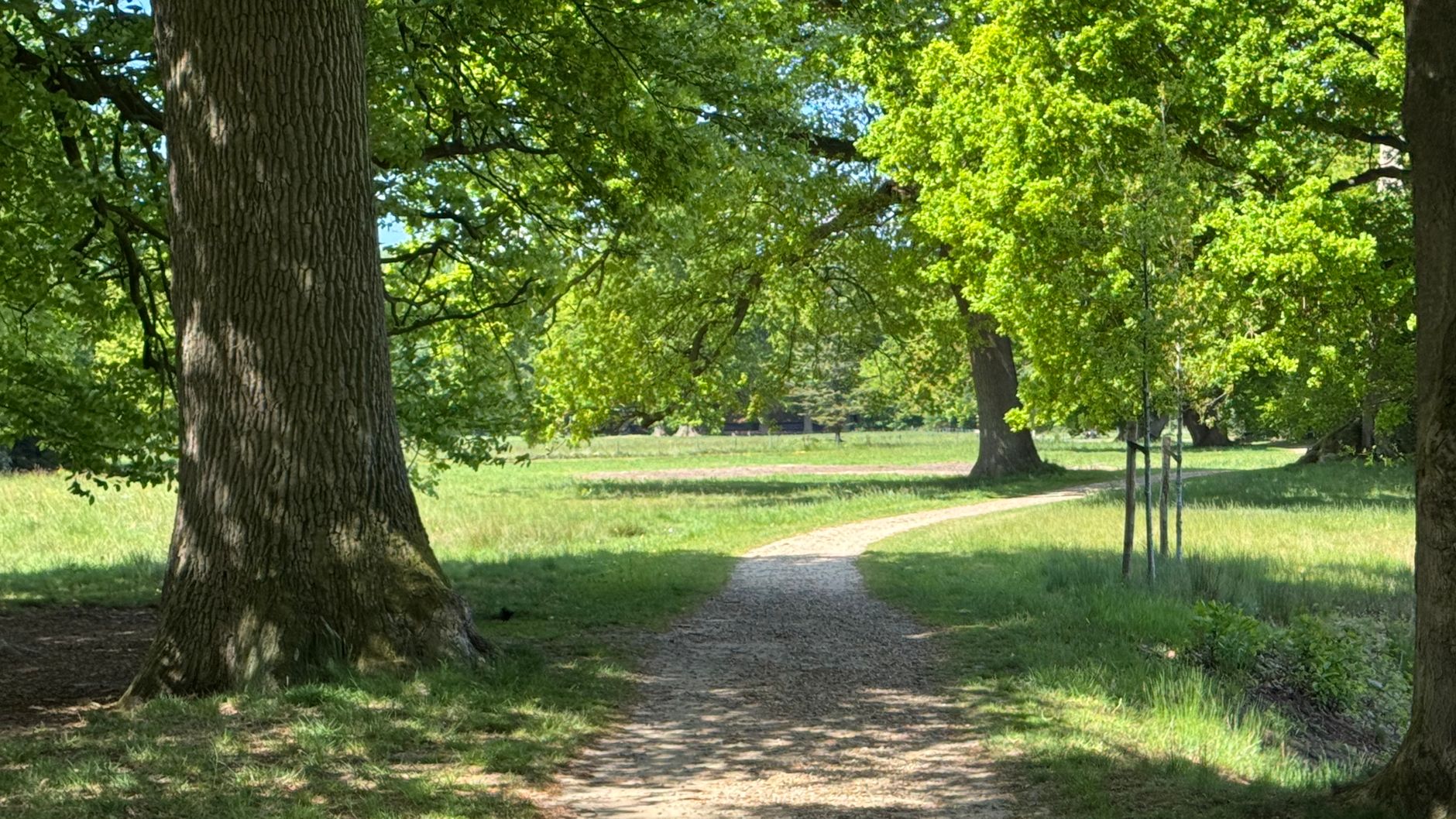 Lutte contre les nuisibles à Pau